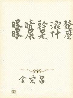 眼睛干涩发痒有眼屎是什么原因引起的封面