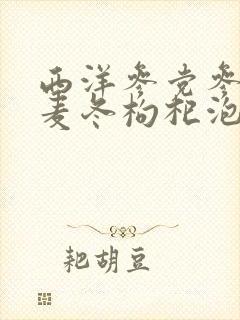 西洋参党参黄芪麦冬枸杞泡水喝功效封面