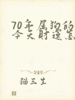 70年属狗的人今天财运怎么样封面