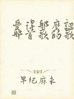 爱得那么认真是哪首歌的歌词