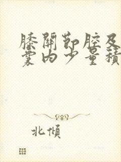 膝关节腔及髌上囊内少量积液封面