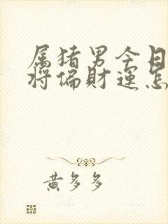 属猪男今日打麻将偏财运怎么样