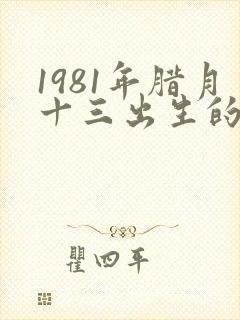1981年腊月十三出生的人什么命封面