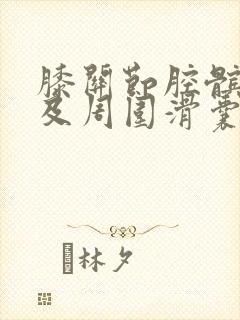 膝关节腔髌上囊及周围滑囊积液