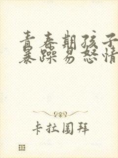 青春期孩子脾气暴躁易怒情绪失控