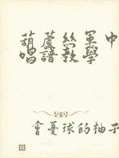 葫芦丝军中绿花唱谱教学封面