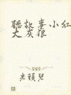 听故事小红帽与大灰狼封面