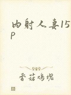 内射人妻15 p