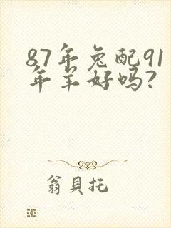 87年兔配91年羊好吗?封面