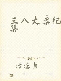 三八大案纪实全集封面