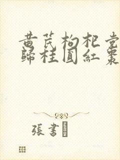 黄芪枸杞党参当归桂圆红枣