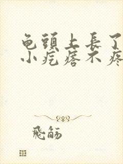 龟头上长了一圈小疙瘩不疼不痒