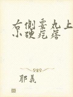 右侧睾丸上有个小硬疙瘩
