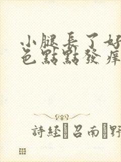 小腿长了好多红色点点发痒