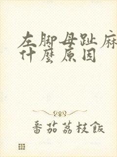 左脚母趾麻木是什么原因
