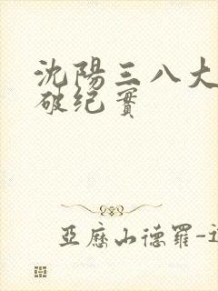 沈阳三八大案侦破纪实