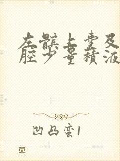 左髌上囊及关节腔少量积液