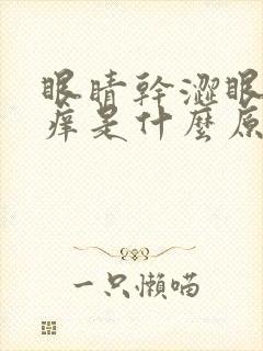 眼睛干涩眼角发痒是什么原因