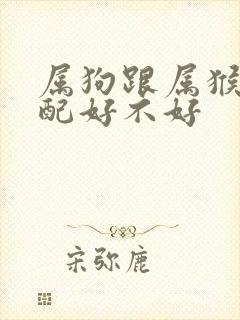 属狗跟属猴的婚配好不好