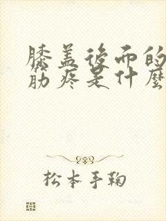 膝盖后面的腿窝筋疼是什么原因
