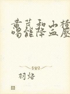 黄芪和山楂泡水喝能降血压吗