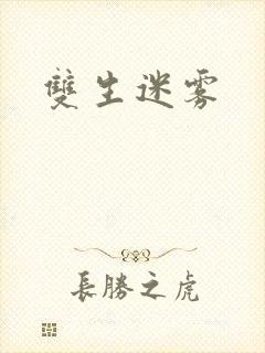 双生迷雾封面