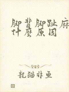 脚背脚趾麻木是什么原因