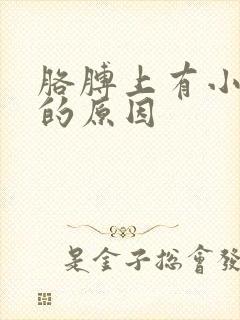 胳膊上有小块癣的原因