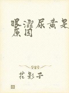 眼涩尿黄是什么原因封面