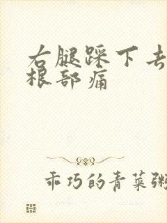 右腿踩下去大腿根部痛