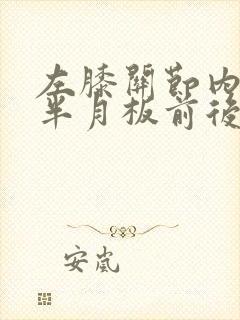 左膝关节内外侧半月板前后角变性