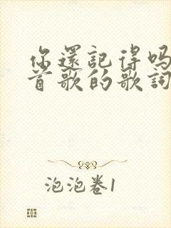 你还记得吗是哪首歌的歌词