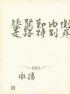 膝关节内侧摔得走路特别疼