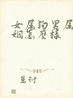女属狗男属龙婚姻怎么样