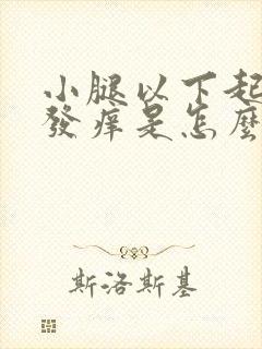 小腿以下起红点发痒是怎么回事封面