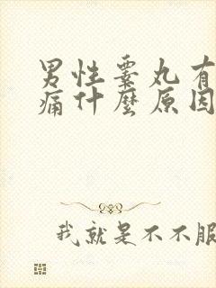 男性睾丸有点刺痛什么原因
