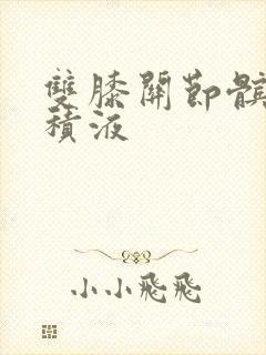 双膝关节髌上囊积液