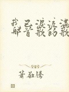 我已泪流满面是哪首歌的歌词封面