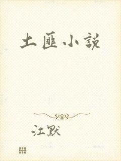 土匪小说