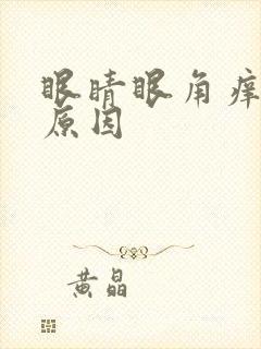 眼睛眼角痒什么原因封面