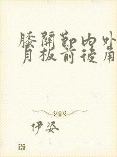 膝关节内外侧半月板前后角损伤封面