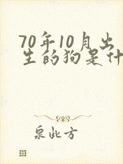 70年10月出生的狗是什么命运