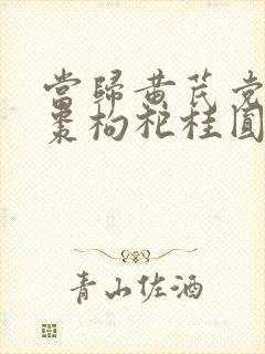 当归黄芪党参红枣枸杞桂圆