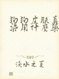 狗狗皮肤真菌感染用什么药膏封面