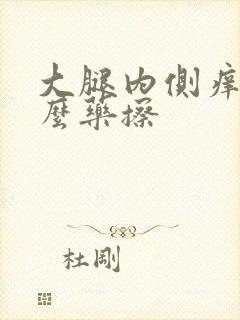 大腿内侧痒用什么药擦