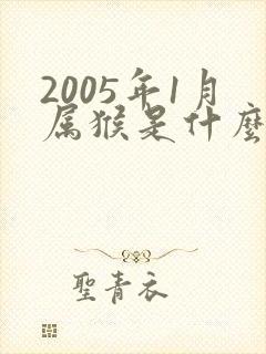 2005年1月属猴是什么命