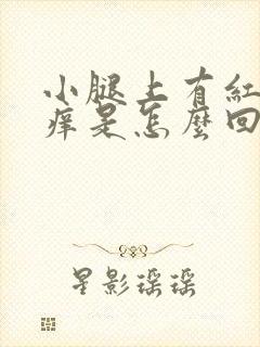 小腿上有红点发痒是怎么回事