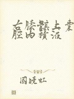 右膝髌上囊关节腔内积液