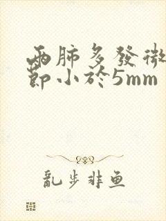 两肺多发微小结节小于5mm