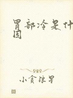 胃部冷是什么原因